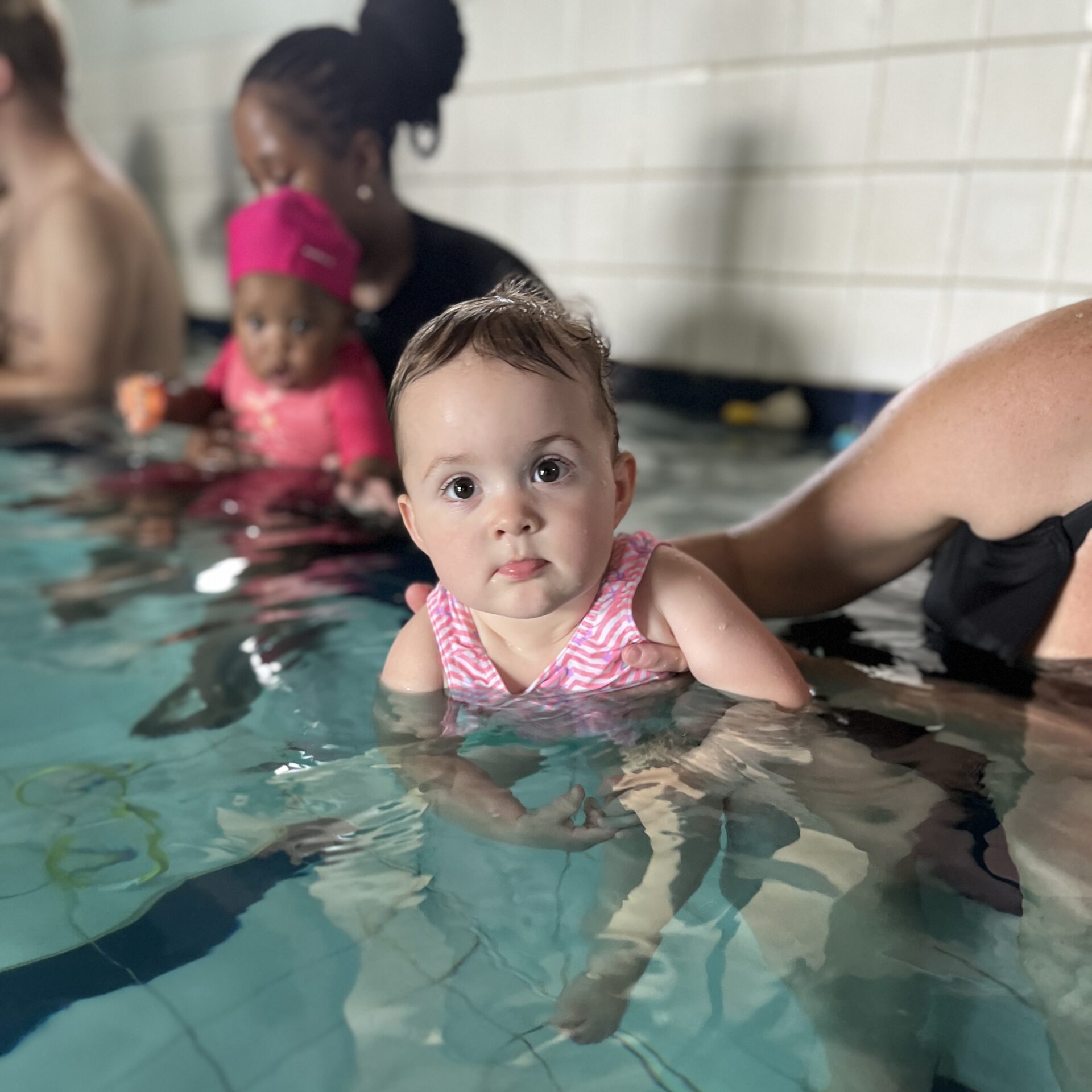 Swim Dynamics Instructor Training